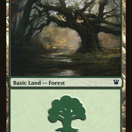 264-forest
