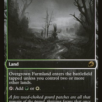 265-overgrownfarmland