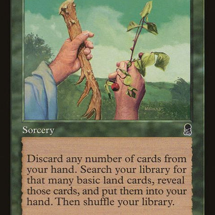 265-ritesofspring