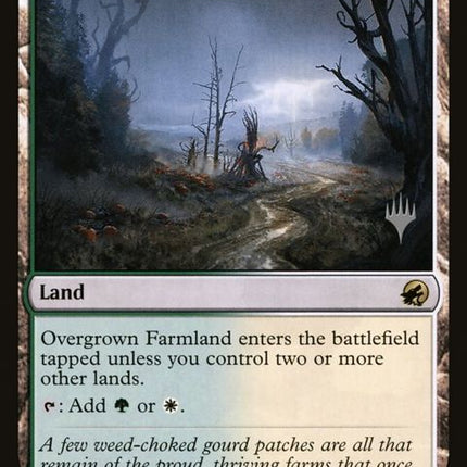 265p-overgrownfarmland