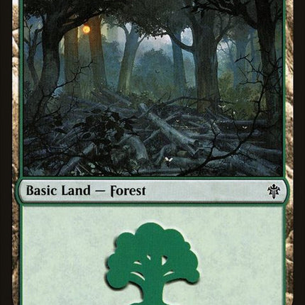 267-forest