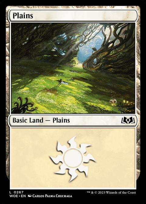267-plains