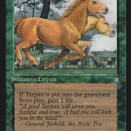 267-tarpan