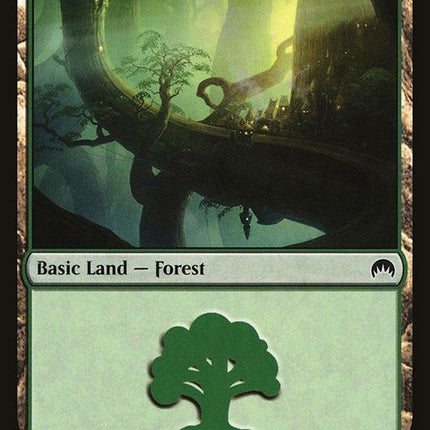 269-forest