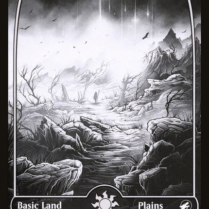 269-plains