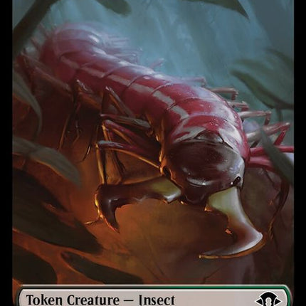 27-insect