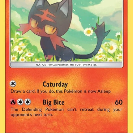 27-litten