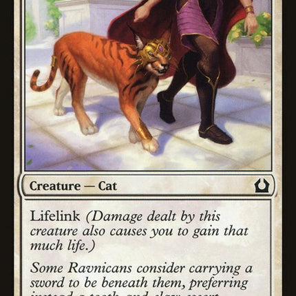 27-trainedcaracal