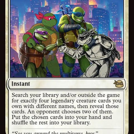 27-turtlesforever