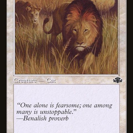 270-savannahlions