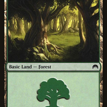 271-forest