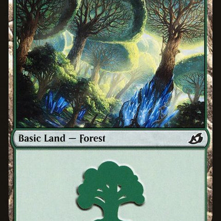272-forest