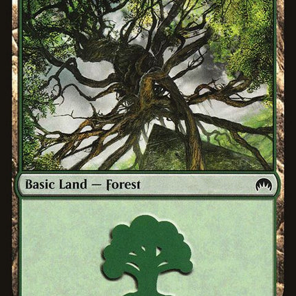 272-forest