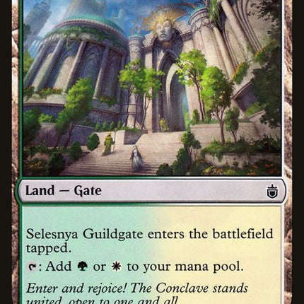 272-selesnyaguildgate