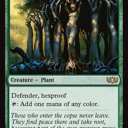 272-sylvancaryatid