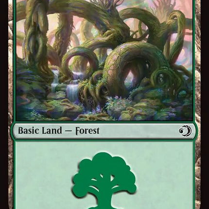 273-forest