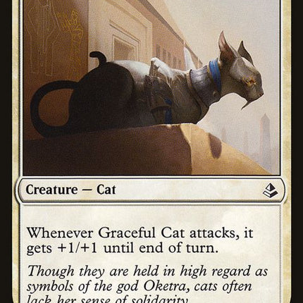 273-gracefulcat