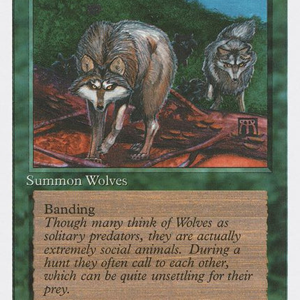 275-timberwolves
