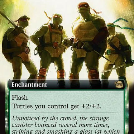 275-turtlepower