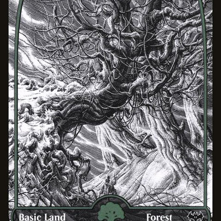 276-forest