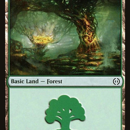 276-forest