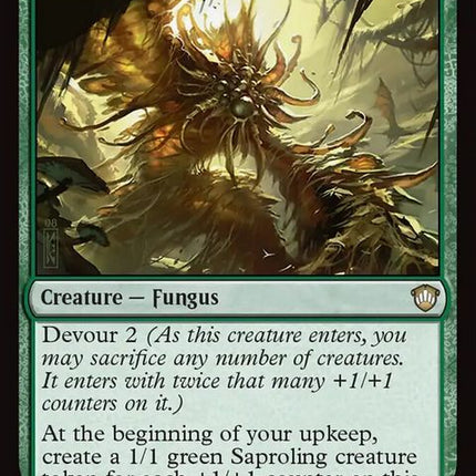 276-mycoloth