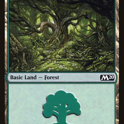 277-forest