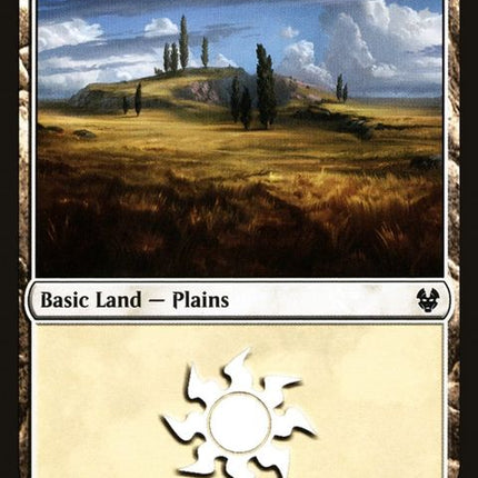278-plains