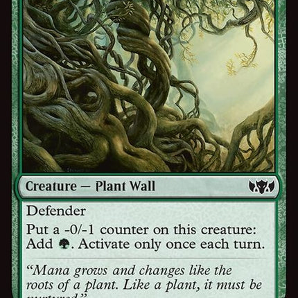 278-wallofroots