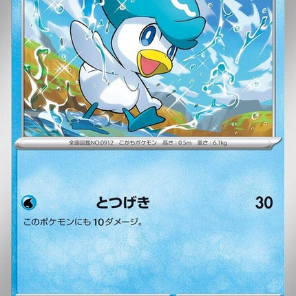 28-quaxly