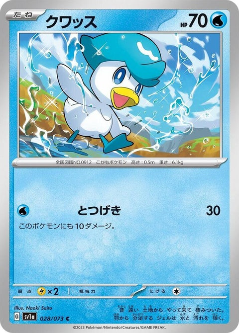 28-quaxly