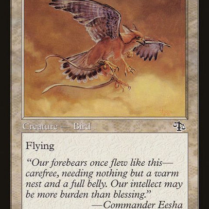 28-suntailhawk