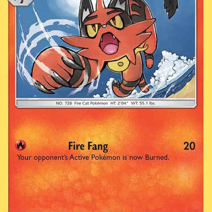 28-torracat