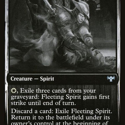281-fleetingspirit