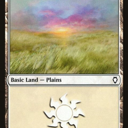 281-plains