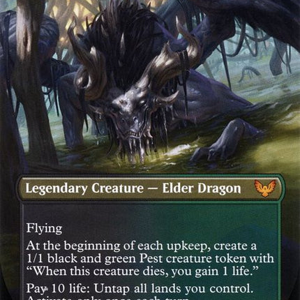 282-beledroswitherbloom