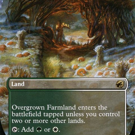283-overgrownfarmland