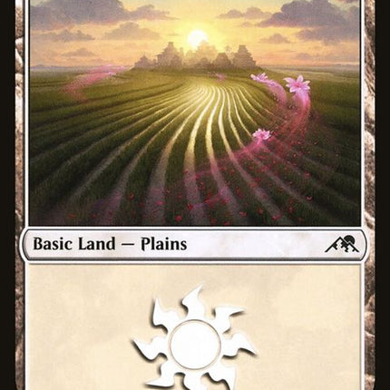 283-plains