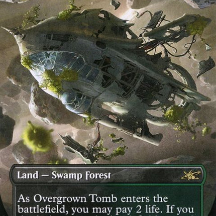 284-overgrowntomb