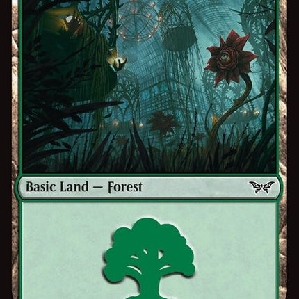 285-forest