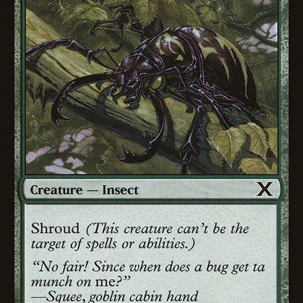 285-pincherbeetles