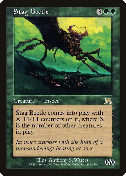 285-stagbeetle