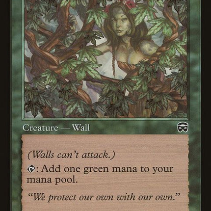 285-vinetrellis