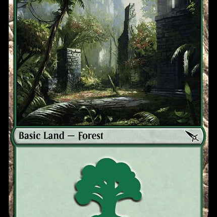 286-forest