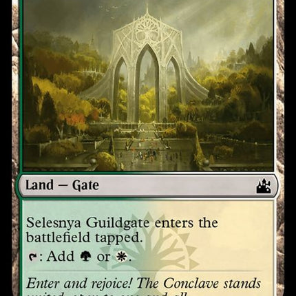 286-selesnyaguildgate