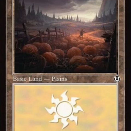 289-plains