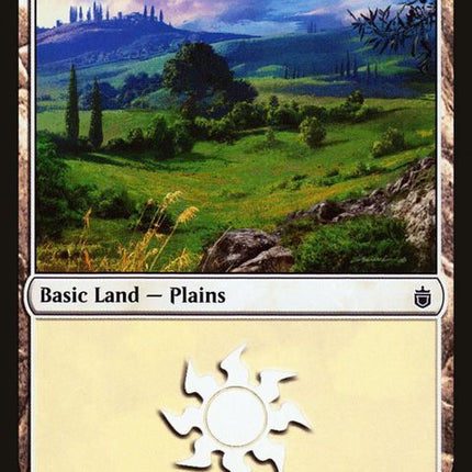 289-plains