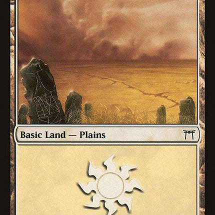 289-plains