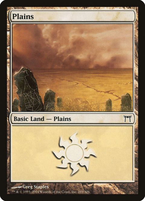 289-plains