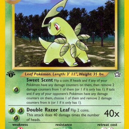 29-bayleef